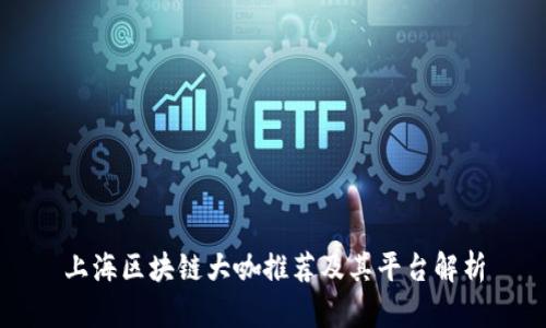 上海区块链大咖推荐及其平台解析