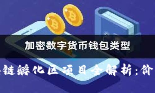 赣州区块链孵化区项目全解析:价值与机会