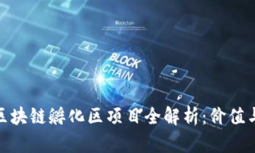 赣州区块链孵化区项目全解析:价值与机会