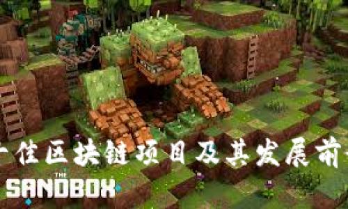 中国十佳区块链项目及其发展前景分析