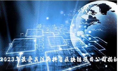2023年最受关注的抖音区块链项目公司揭秘