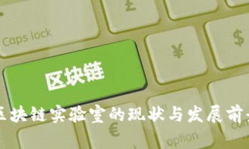国家区块链实验室的现状与发展前景分析