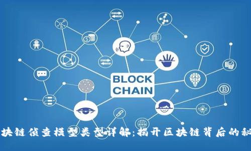 区块链侦查模型类型详解:揭开区块链背后的秘密