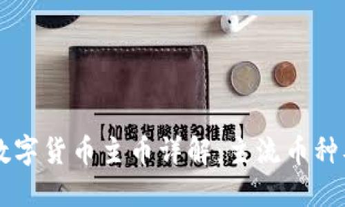 区块链数字货币主币详解:主流币种及其特点