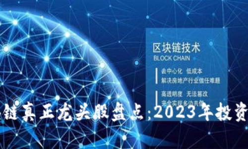 区块链真正龙头股盘点:2023年投资指南