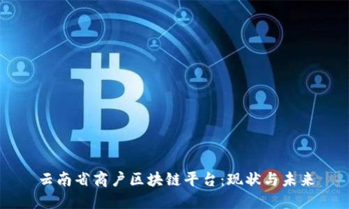 云南省商户区块链平台:现状与未来