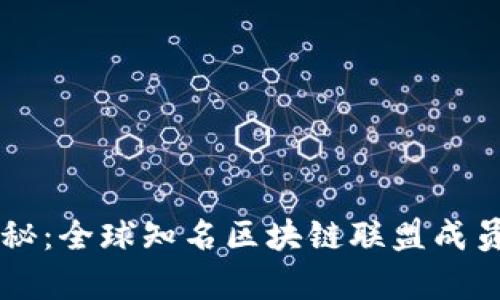 区块链盟主成员揭秘:全球知名区块链联盟成员名单及影响力分析
