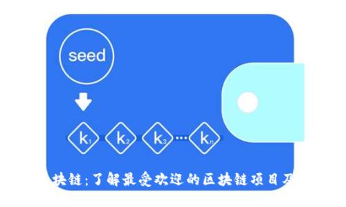 全民区块链:了解最受欢迎的区块链项目及其应用