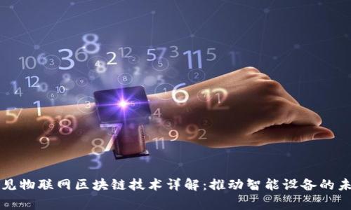 常见物联网区块链技术详解:推动智能设备的未来