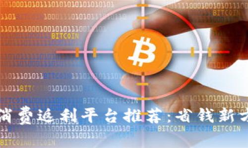 区块链消费返利平台推荐:省钱新方式详解
