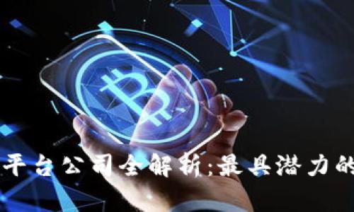 区块链二层平台公司全解析:最具潜力的项目与应用
