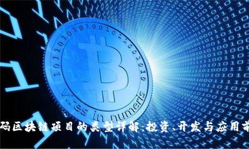 首码区块链项目的类型详解:投资、开发与应用前景