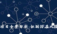 高危区块链项目全景分析