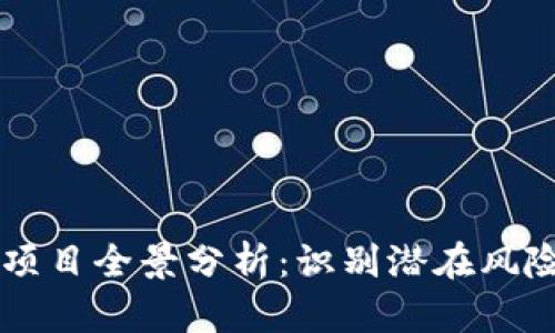 高危区块链项目全景分析:识别潜在风险与投资陷阱