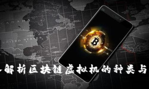 深入解析区块链虚拟机的种类与应用