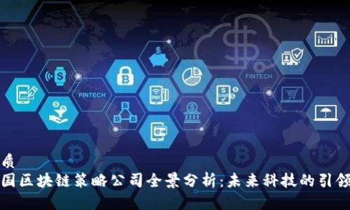 优质
德国区块链策略公司全景分析:未来科技的引领者
