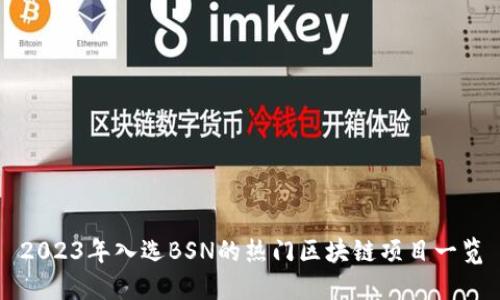 2023年入选BSN的热门区块链项目一览