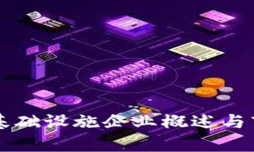 区块链基础设施企业概述与市场分析