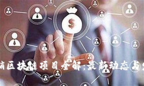 寻乌营销区块链项目全解:最新动态与发展前景
