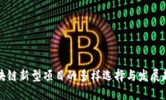 区块链新型项目的多样选