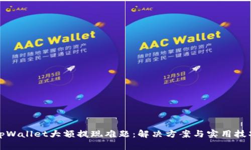 tpWallet大额提现难题：解决方案与实用技巧