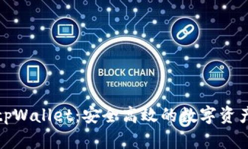 全面解读tpWallet：安全高效的数字资产管理工具