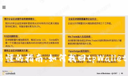 简单易懂的指南：如何找回tpWallet里的币