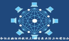   革命性区块链科技试点：