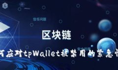 如何应对tpWallet被禁用的紧