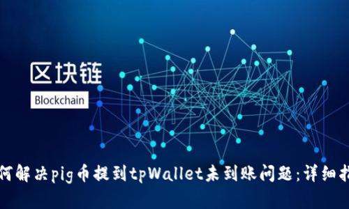 如何解决pig币提到tpWallet未到账问题：详细指南