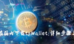 如何在国内下载tpWallet：详