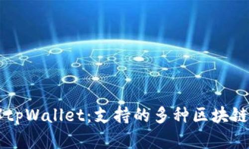 深入了解tpWallet：支持的多种区块链及其应用