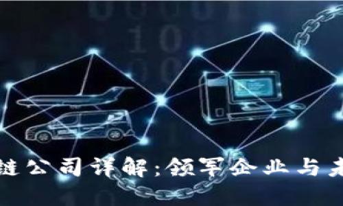 优质
常山区区块链公司详解：领军企业与未来发展趋势