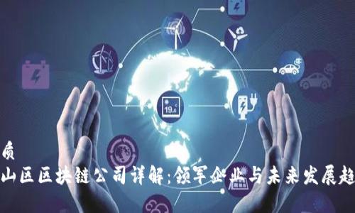 优质
常山区区块链公司详解：领军企业与未来发展趋势