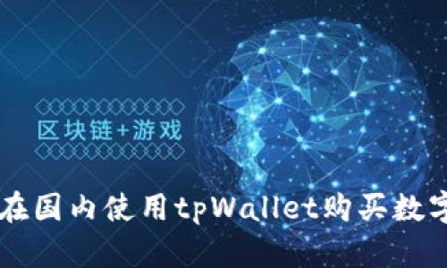 如何在国内使用tpWallet购买数字货币