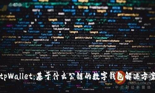 tpWallet：基于什么公链的数字钱包解决方案